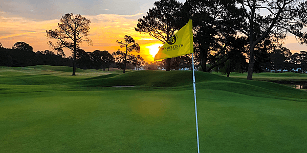 Myrtlewood PineHills’ Greens Renovation Boosting Entire Course