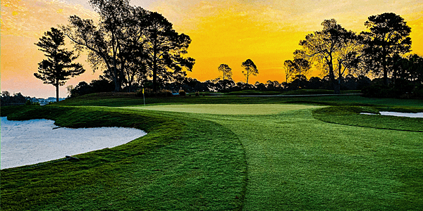 Myrtlewood Palmetto Designed and Maintained With Rhythm In Mind