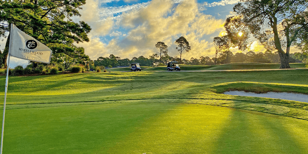 Myrtlewood Palmetto’s Four New Gems