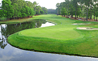 TPC Myrtle Beach~ A Proven Premier Property