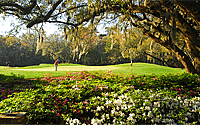 Willbrook Golf Club Celebrates 30 Years of Spectacular Lowcountry Golf