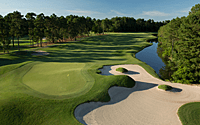 Video Spotlight: Wild Wing Plantation