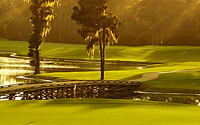 Flat-Earth Golf Rare In Myrtle Beach, But It Does Exist