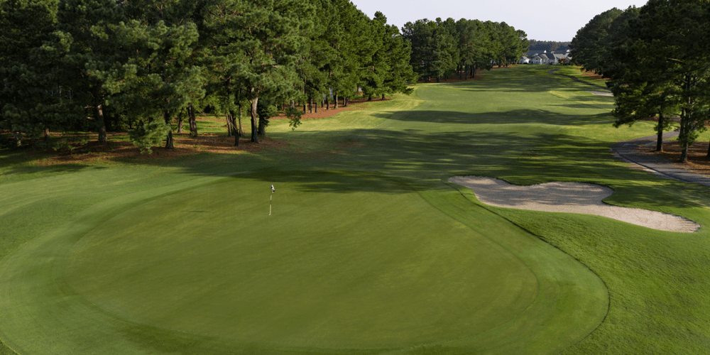 Experts Debate: Top Picks for Beginner-Friendly Golf Courses in Myrtle Beach