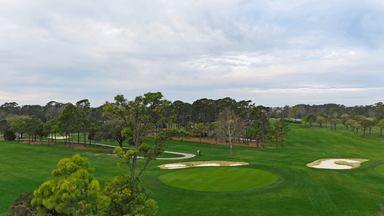 Pine Lakes 15th Green 022824