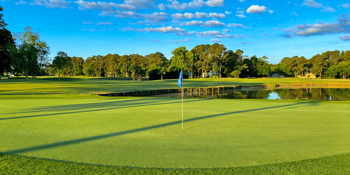 Climbing The South Strand Golf Ladder