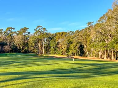 Tradition Club 13th Fairway
