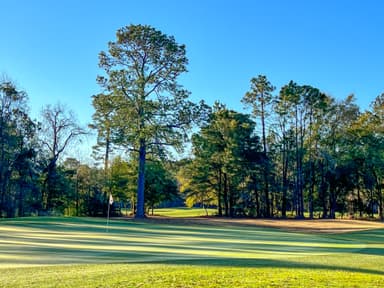 Tradition Club 18th Green Side