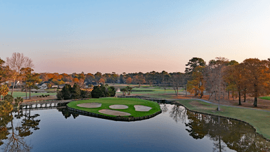 River Club 14 Green