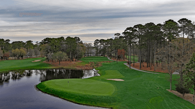 TPC 17th Green Back