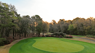 Tradition 16 Green