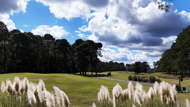 Burning Ridge Tee and Pampas Grass
