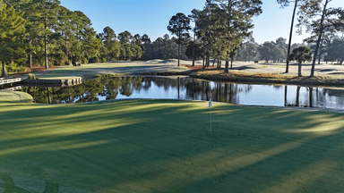 Kings North 4th Green Looking Back