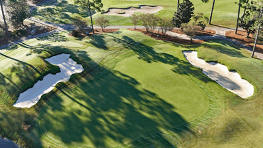 Kings North 8th Green High