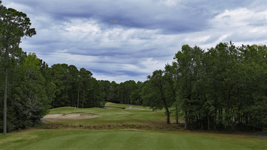 Wild Wing 4th Low Approach