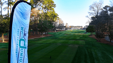 TPC 18th Banner and Clubhouse 2025 DJ World Junior Championship