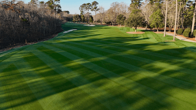 TPC Myrtle Beach 14th Fairway