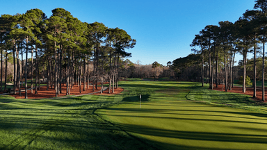 TPC Myrtle Beach 11th Green Low