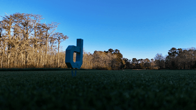 TPC Myrtle Beach DJ Tee Marker 15th
