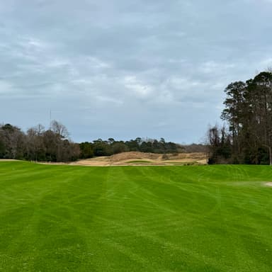 True Blue Golf Club 13th Fairway View