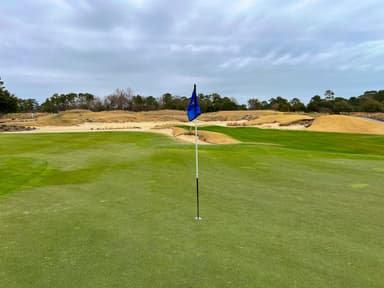 True Blue Golf Club 14th Green View