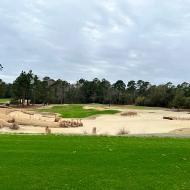 True Blue Golf Club 14th Tee View