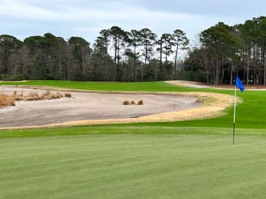 True Blue Golf Club 6th Green
