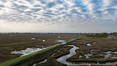 Pawleys Plantation Marsh Cart Path