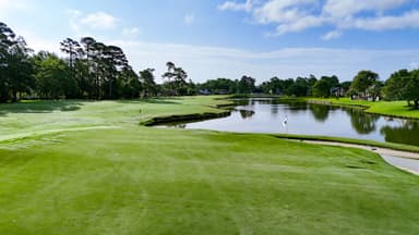 Long Bay 9th Green Behind