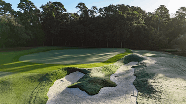 Kings North 14th Green Low