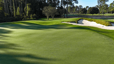 Kings North 15th Green