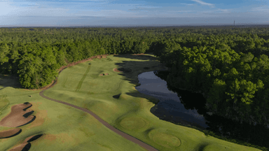 Wild Wing Hole 14