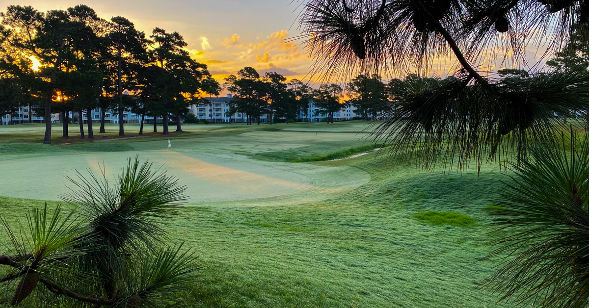 Labeling the Links: The Fascinating History Of Myrtlewood’s PineHills Course