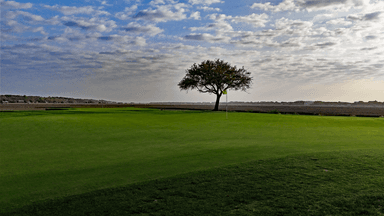 Pawleys Plantation 16th Greenside Low