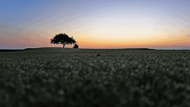 Pawleys Plantation Mowing Drone on Ground